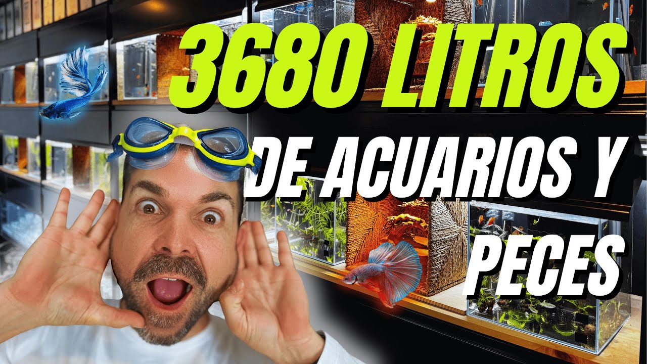 😲 ¡Nunca habíamos tenido tantos peces! 3680 litros en acción + Unboxing | NAscapers ►