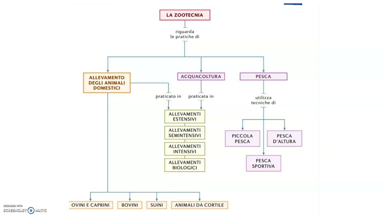ZOOTECNIA- MAPPA CONCETTUALE COMMENTATA