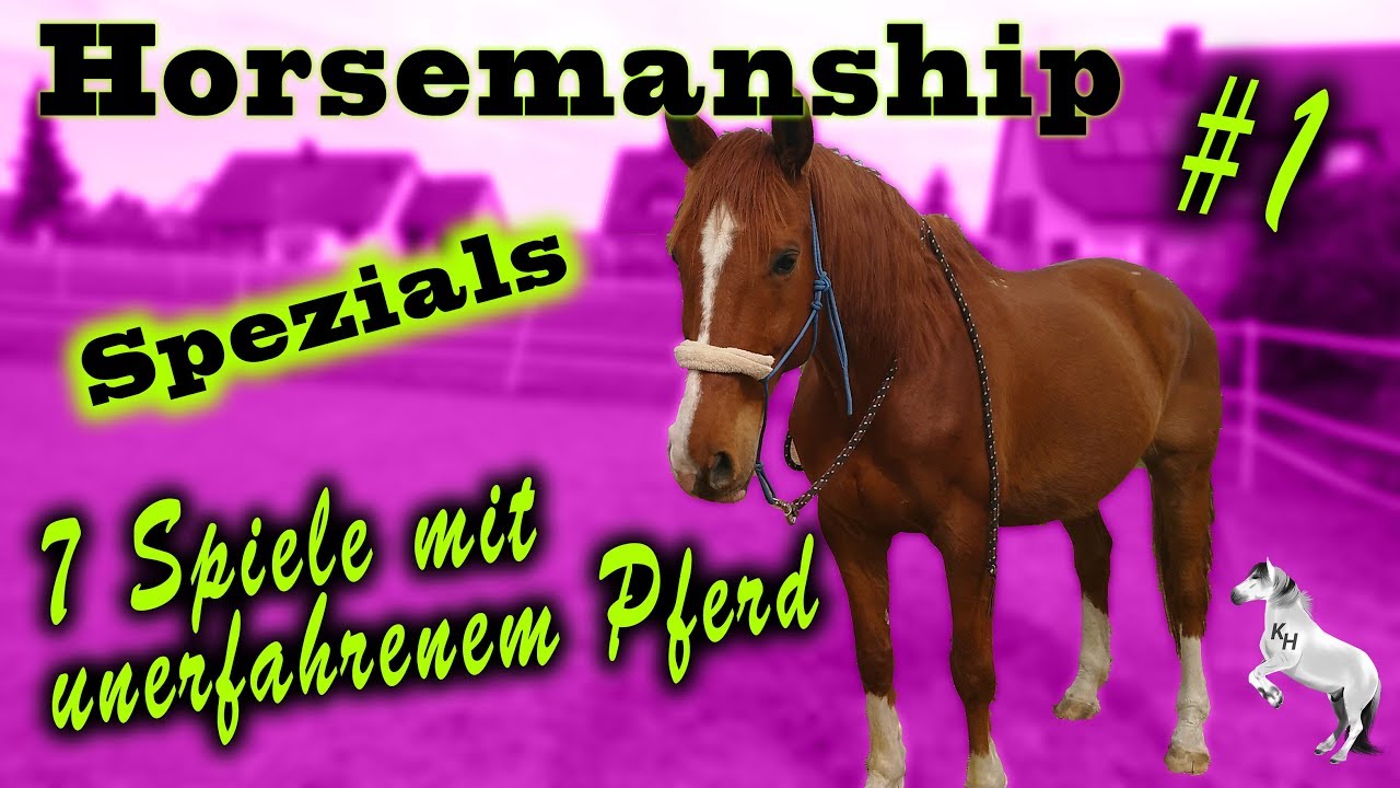 [Horsemanship] 7 Spiele mit unerfahrenem Pferd #1