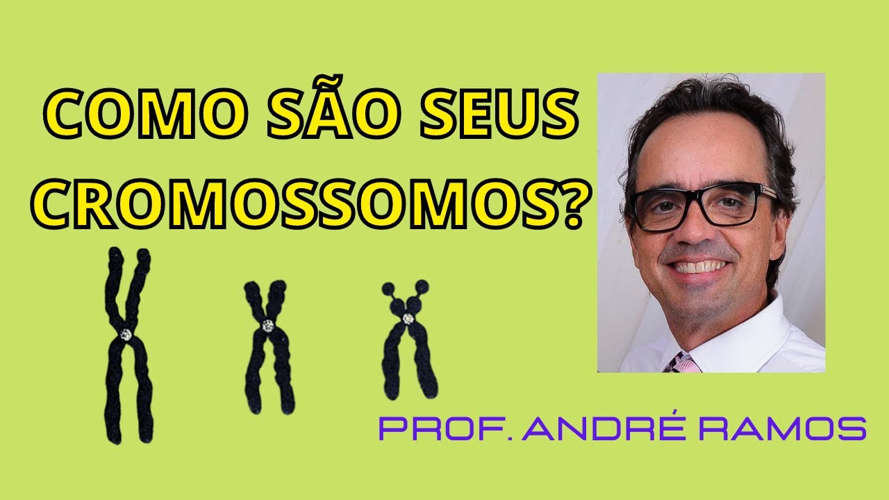 Entendendo os Cromossomos de  Ponta a Ponta: Diferenciação Longitudinal dos Cromossomos