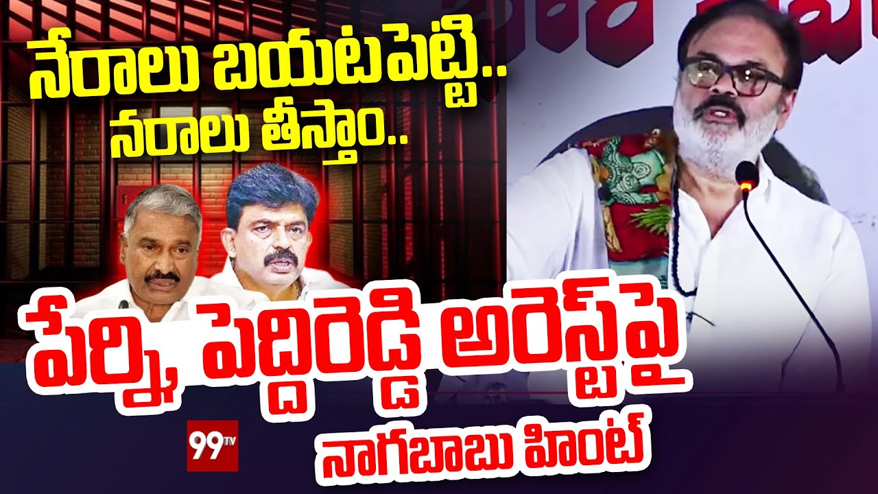 నేరాలు బయటపెట్టి..పేర్ని, పెద్దిరెడ్డి అరెస్ట్ పై నాగబాబు | Nagababu About Perni & Peddireddy Arrest