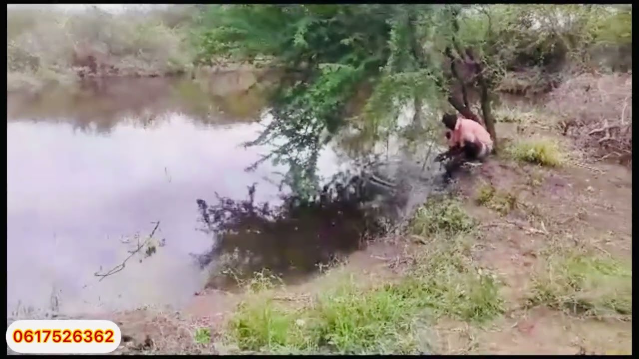BEER IIB AH KA KOOBAN 7 HIGTAR LEH FAR WABI LOOGA WARAABIYO SIDOO KELE LEH CEEL QAAS U AH IYO SHARCI