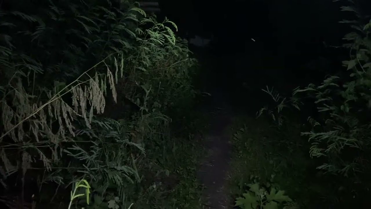 Женское общежитие