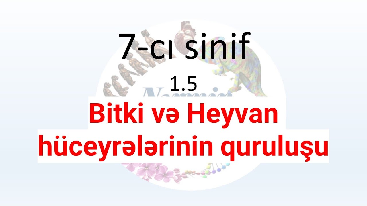 Biologiya 7-ci sinif 1.5 Bitki və heyvan hüceyrələrinin quruluşu