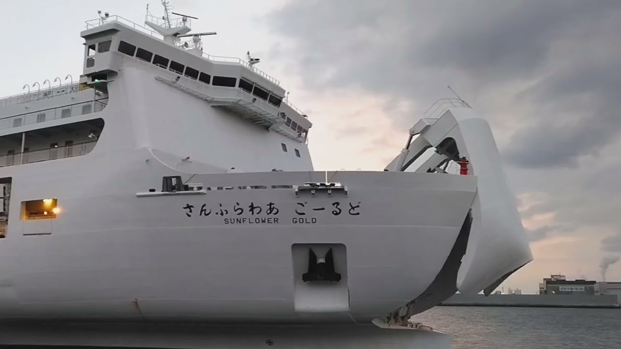 さんふらわあ　応援ソング2026.1.24