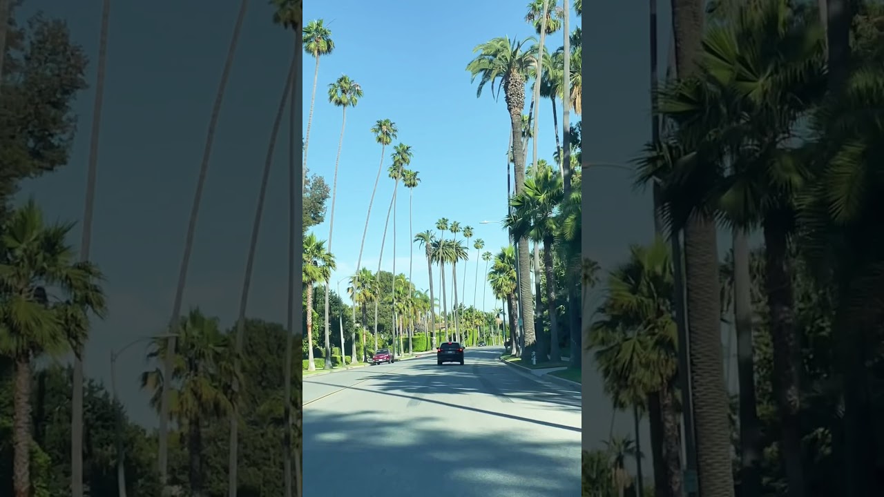 Los Angeles Aesthetics #1 | Beverly Hills #La #aesthetic #beverlyhills