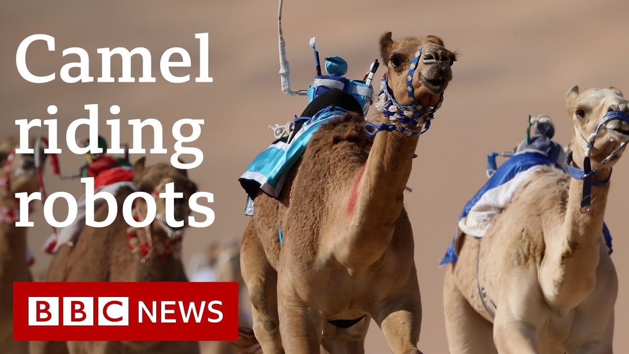 How camel riding robots saved children's lives - Witness History, BBC World Service