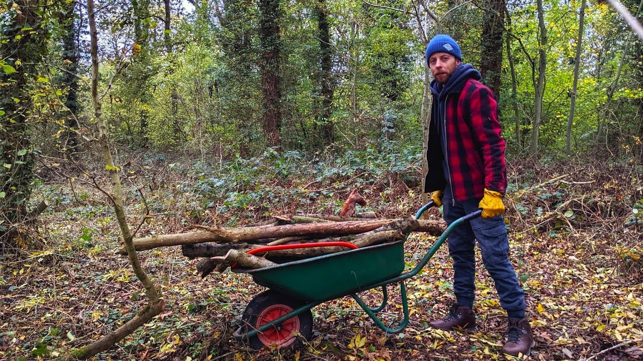 Collecting firewood for winter