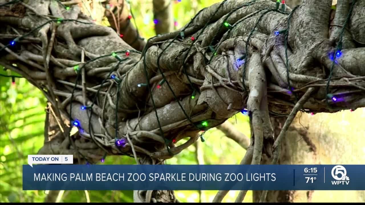 WPTV gets inside look at 'Zoo Lights' at Palm Beach Zoo