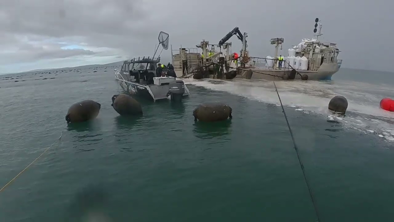 Fishing in the Firth Of The Thames , Hauraki Gulf, NZ  28 April 2025