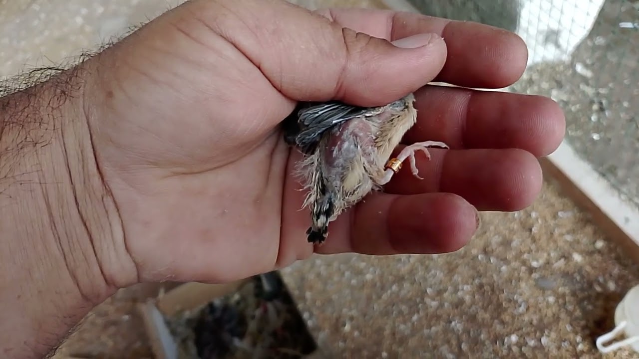 ١٤ يناير ٢٠٢٦
