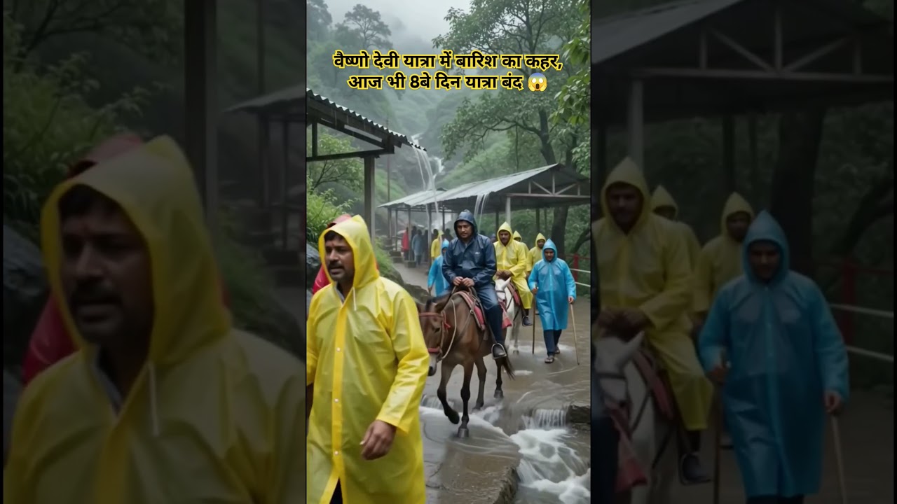 वैष्णो देवी यात्रा, बारिश में फंसे श्रद्धालु😱🤔 #shorts #trending #vaishnodevi #rain #shortsfeed