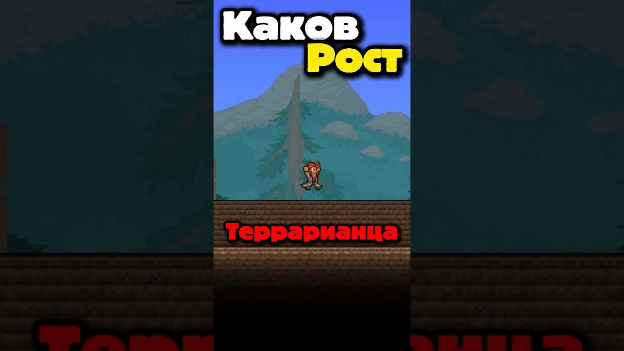 КАКОВ РОСТ ТЕРРАРИАНЦА В ТЕРРАРИИ!