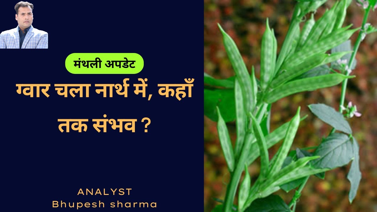 ग्वार चला नार्थ , ऊपर में कौन से लेवल संभव | #guarseed #guargum