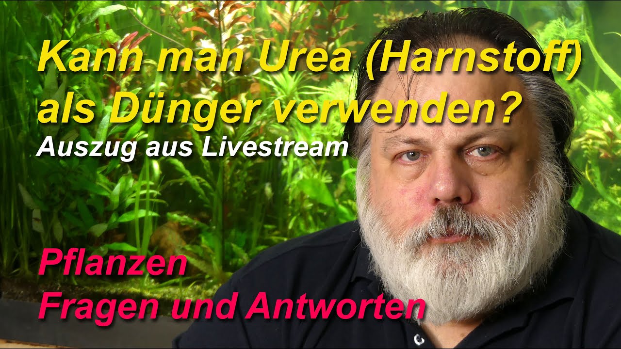 Kann man Urea (Harnstoff) als D&uuml;nger f&uuml;r das Aquarium verwenden? Livestream-Auszug