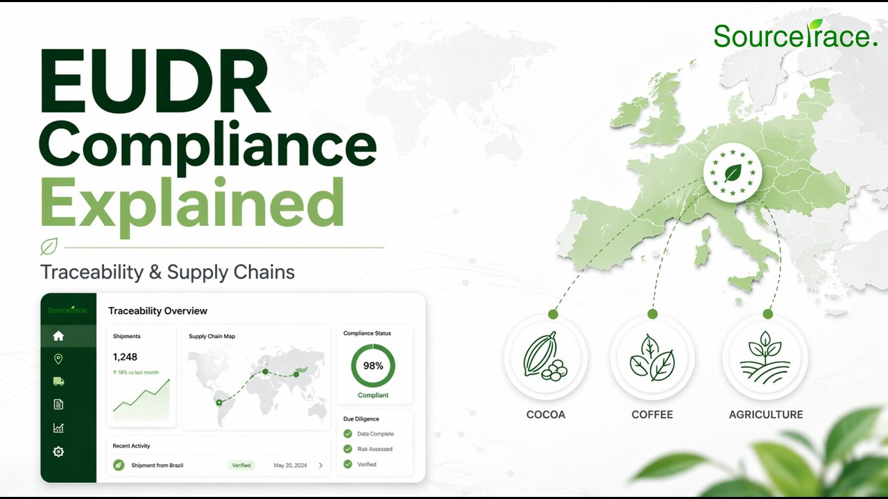 EUDR Compliance Explained | Traceability & Sustainable Supply Chains