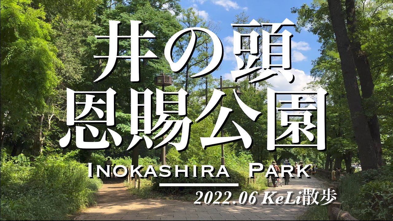 【4K】井の頭恩賜公園をお散歩しました！ Enjoying Inokashira Park!