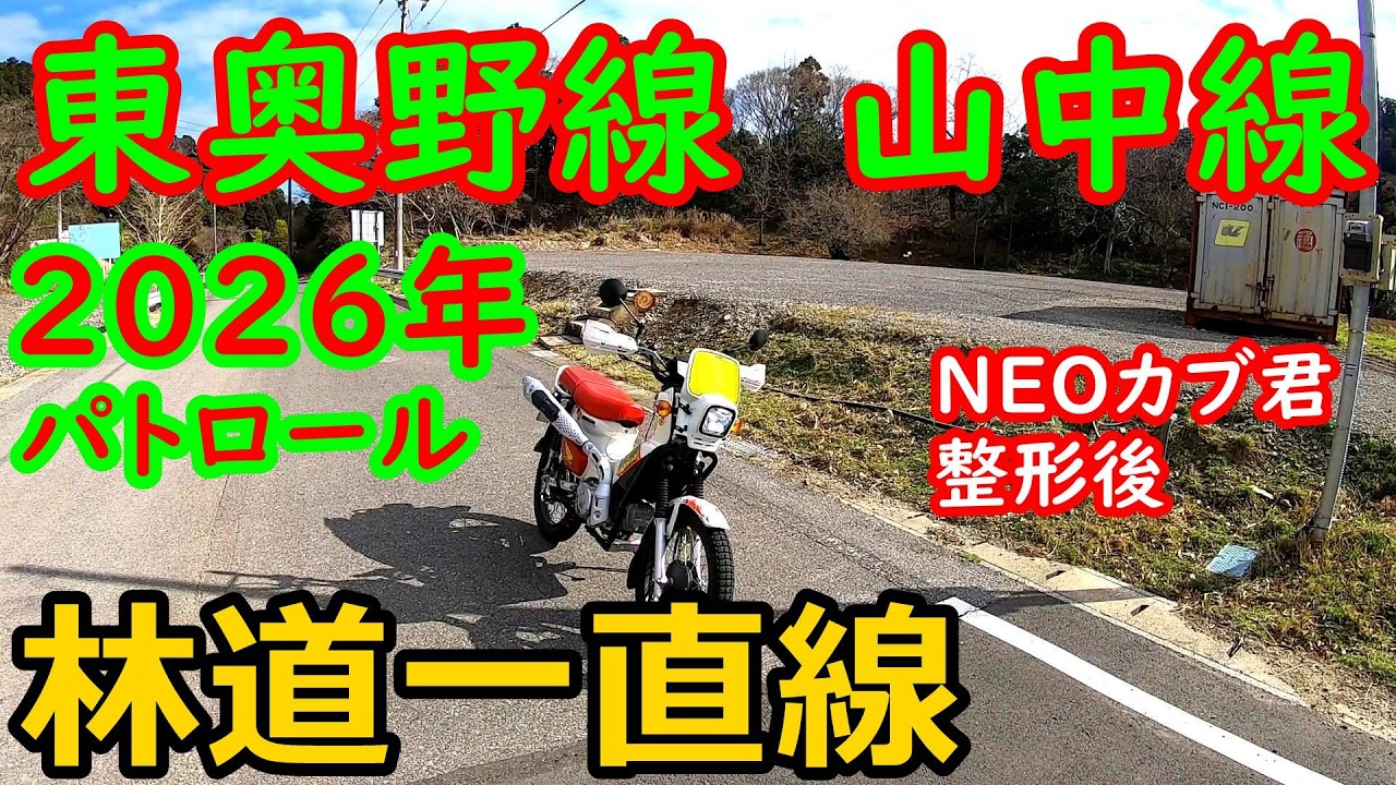 【林道一直線】　千葉　林道　東奥野線　保田見線　山中線　パトロール　2026年3月