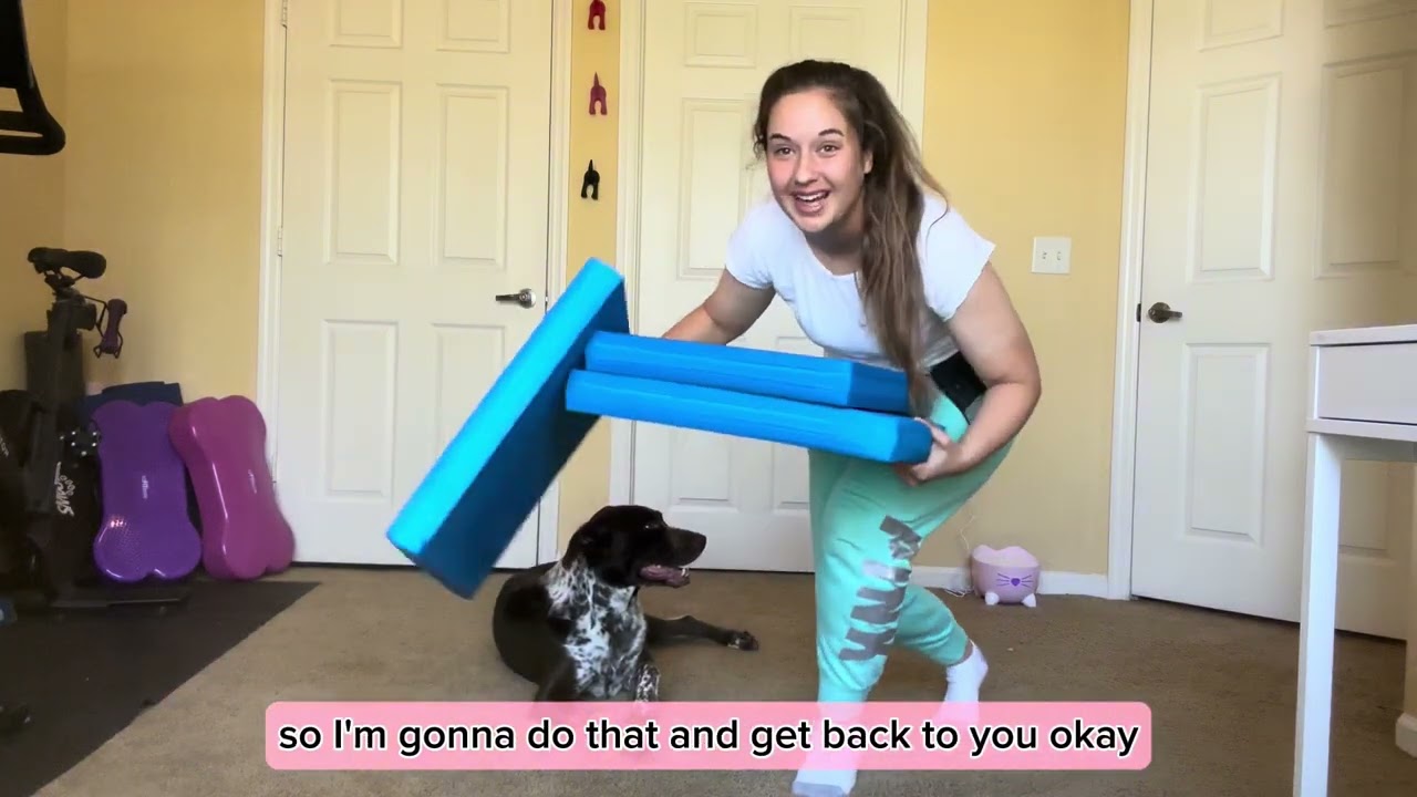 Advanced Dog Fitness Training Exercise Sidestepping Sparkles and Sunshine Blog