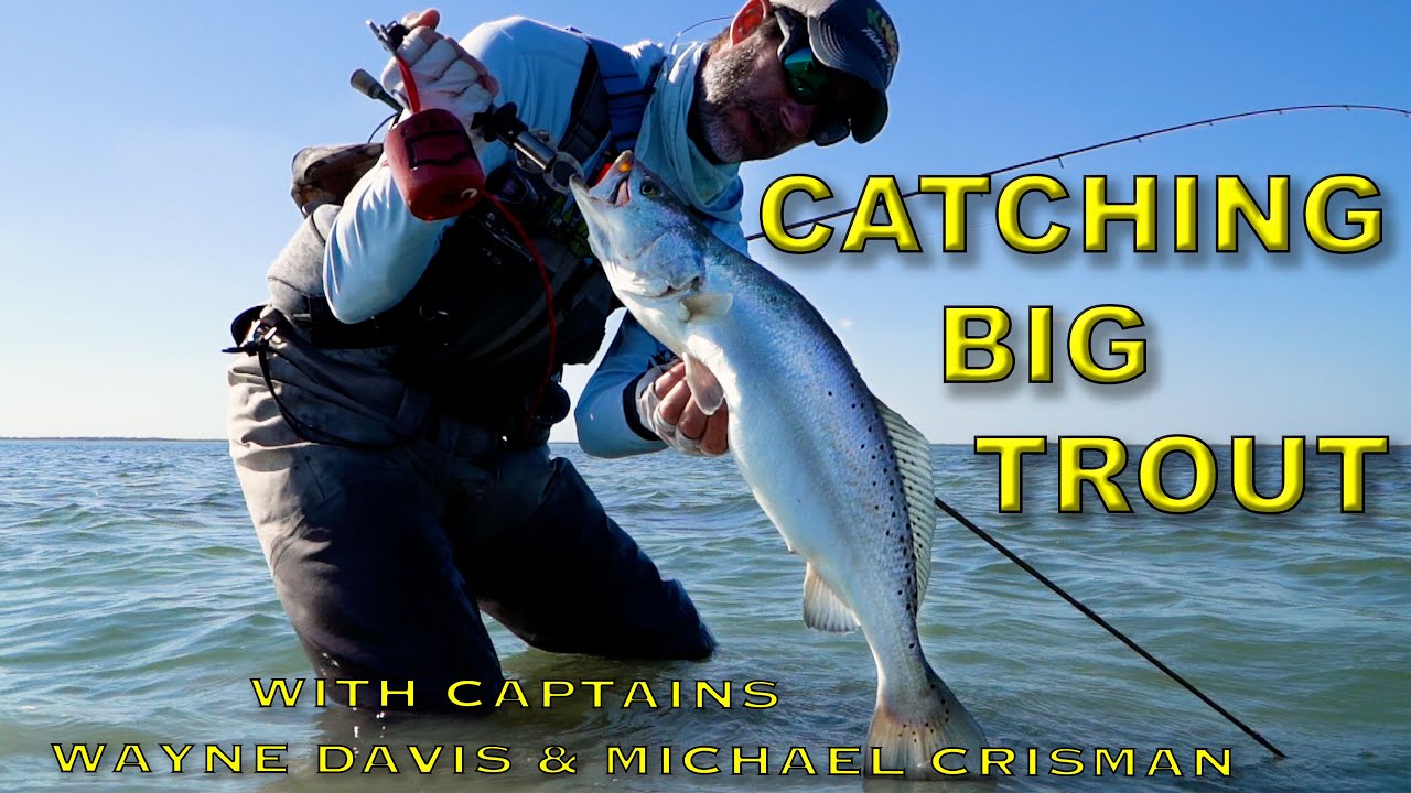 Catching Big Trout In Cold Temps