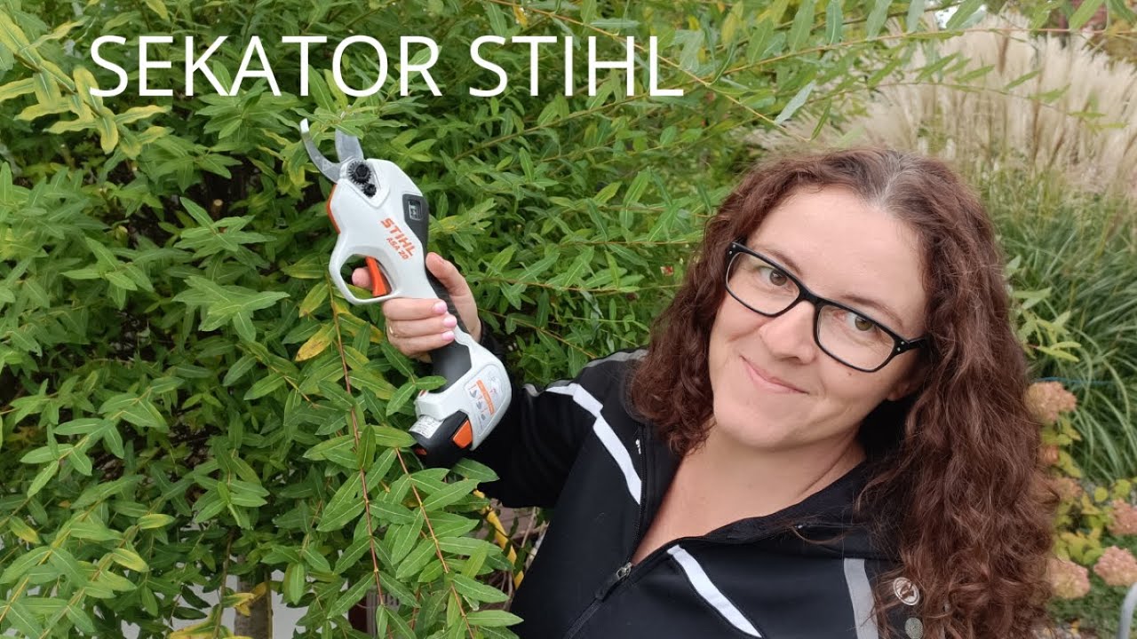 Nowość sekator Stihl Asa 20 mój nowy pomocnik w ogrodzie. @STIHL Polska