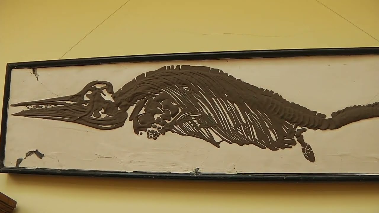 The W.M. Keck Earth Science and Mineral Engineering Museum