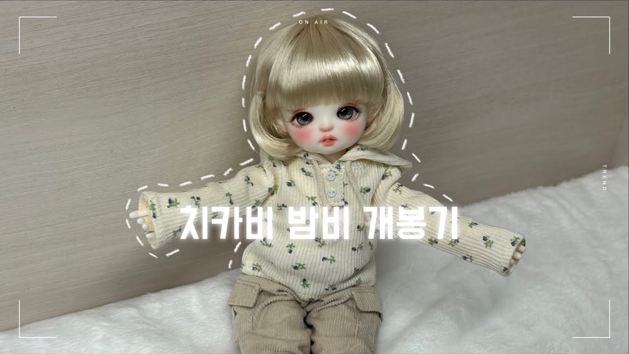 [구체관절인형] 치카비 밤비 개봉기