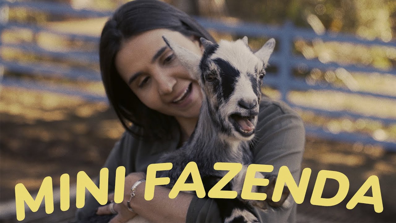 ANIMAL CARE  -  Mini Fazenda