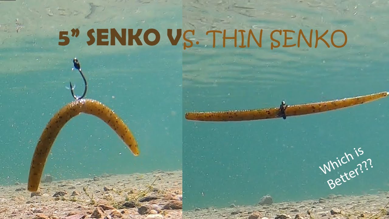 Yamamoto Underwater Footage! Comparing 5