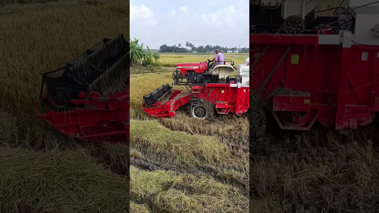 Swaraj 969 CRD engine Balkar combine harvester
