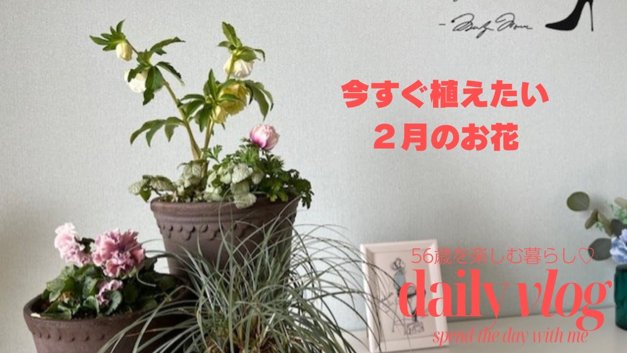 クリスマスローズの寄せ植え/かわいい球根/BERGSの鉢