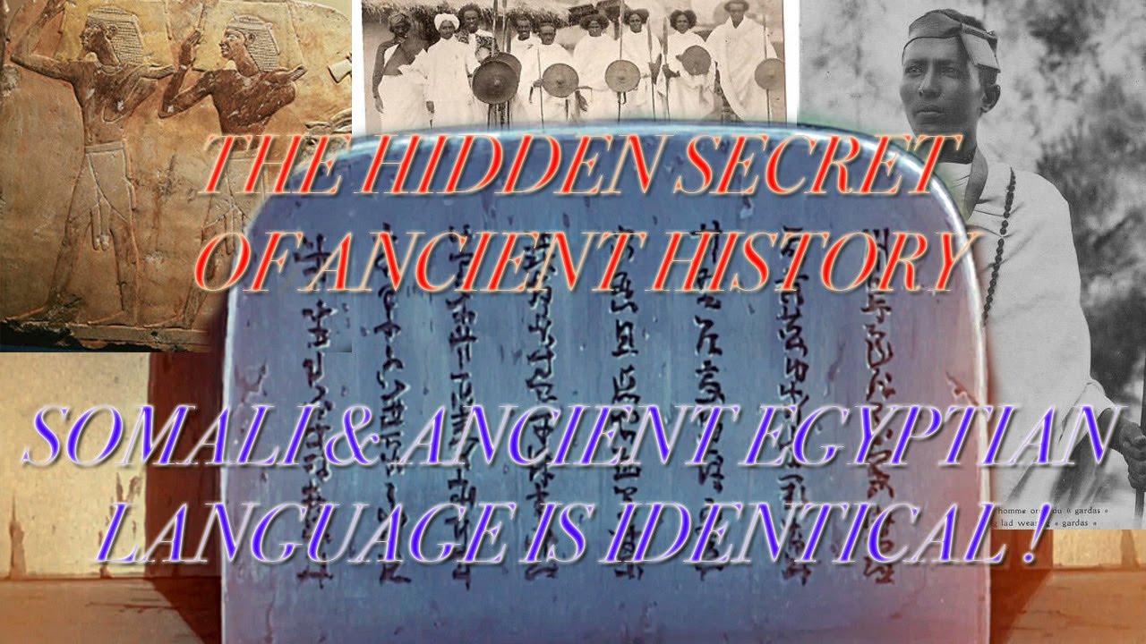 The Afroasiatic Founder Effect -  Is Somali & Ancient Egyptian Language Identical ?