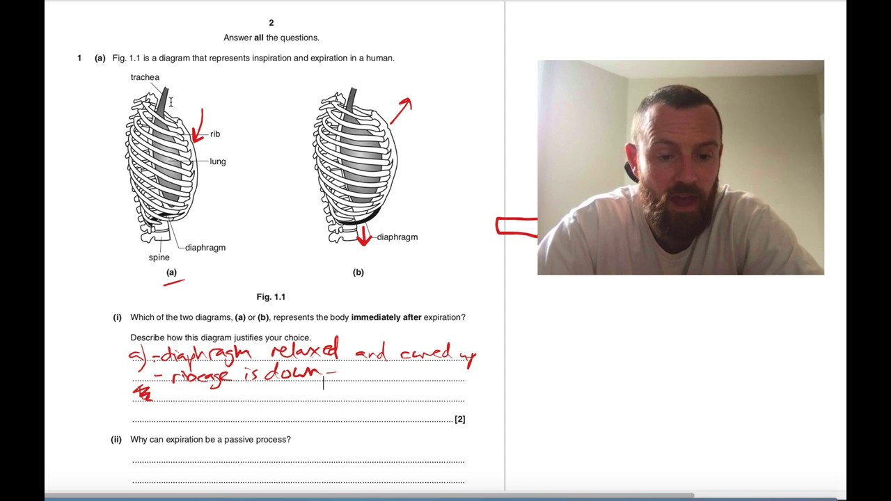 Depth in Biology 2016 AS Run-through (OCR A Level Biology)