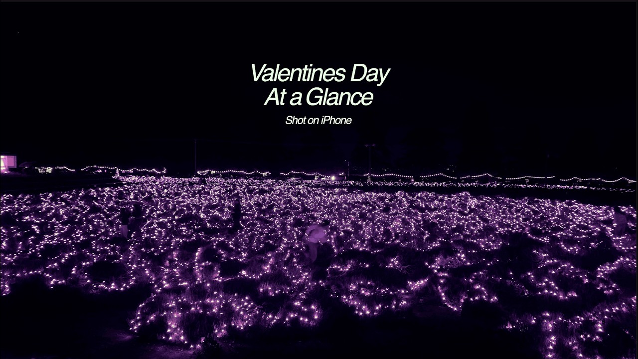 Valentines Day At a Glance