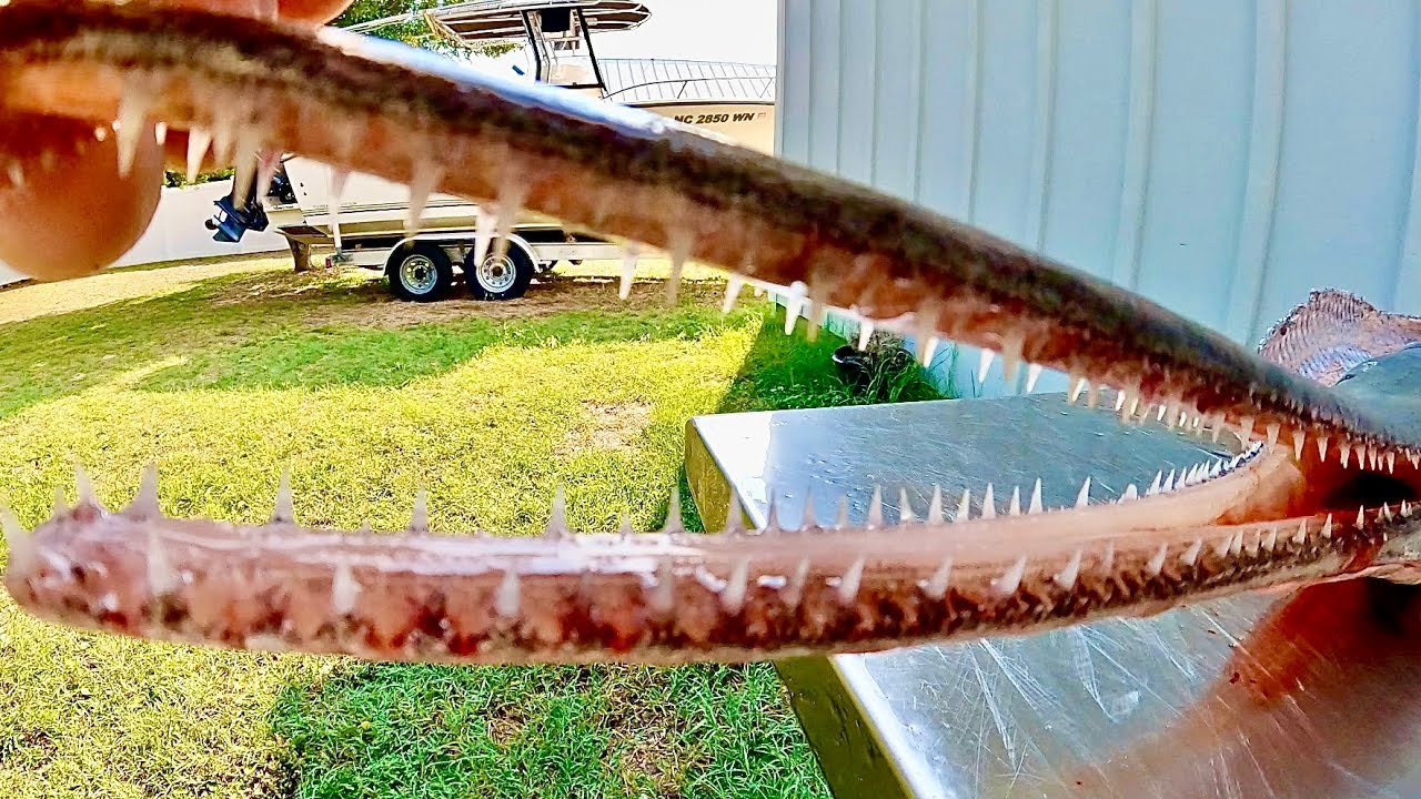 GAR QUEST - Catch, Clean, Cook