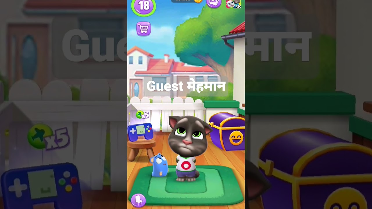 Guest meaning