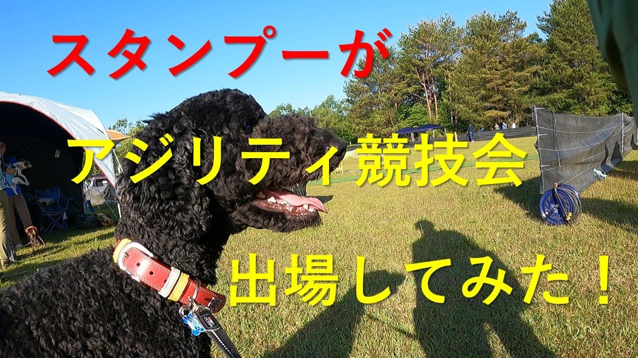 さすけのお散歩vol.36