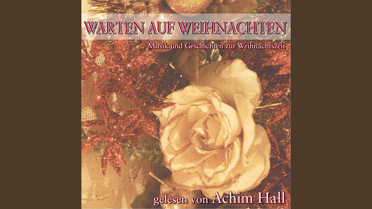 Martin entdeckt den Weihnachtsstern