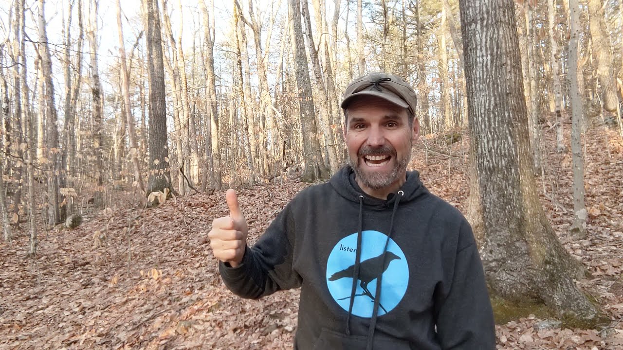 Red-Bellied Woodpecker - Learn a Bird Episode #27