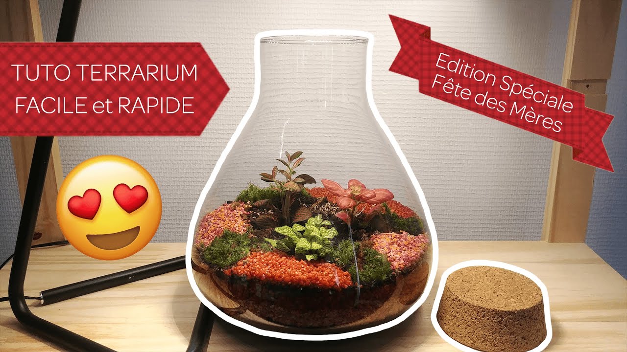 #TUTO TERRARIUM 🌿 FACILE et RAPIDE pour DÉBUTANT : édition spéciale cadeau Fête des Mères ! 😍