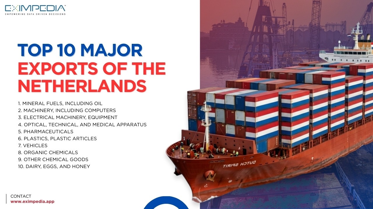 Top 10 Major Exports of the Netherlands: A Key to Global Trade