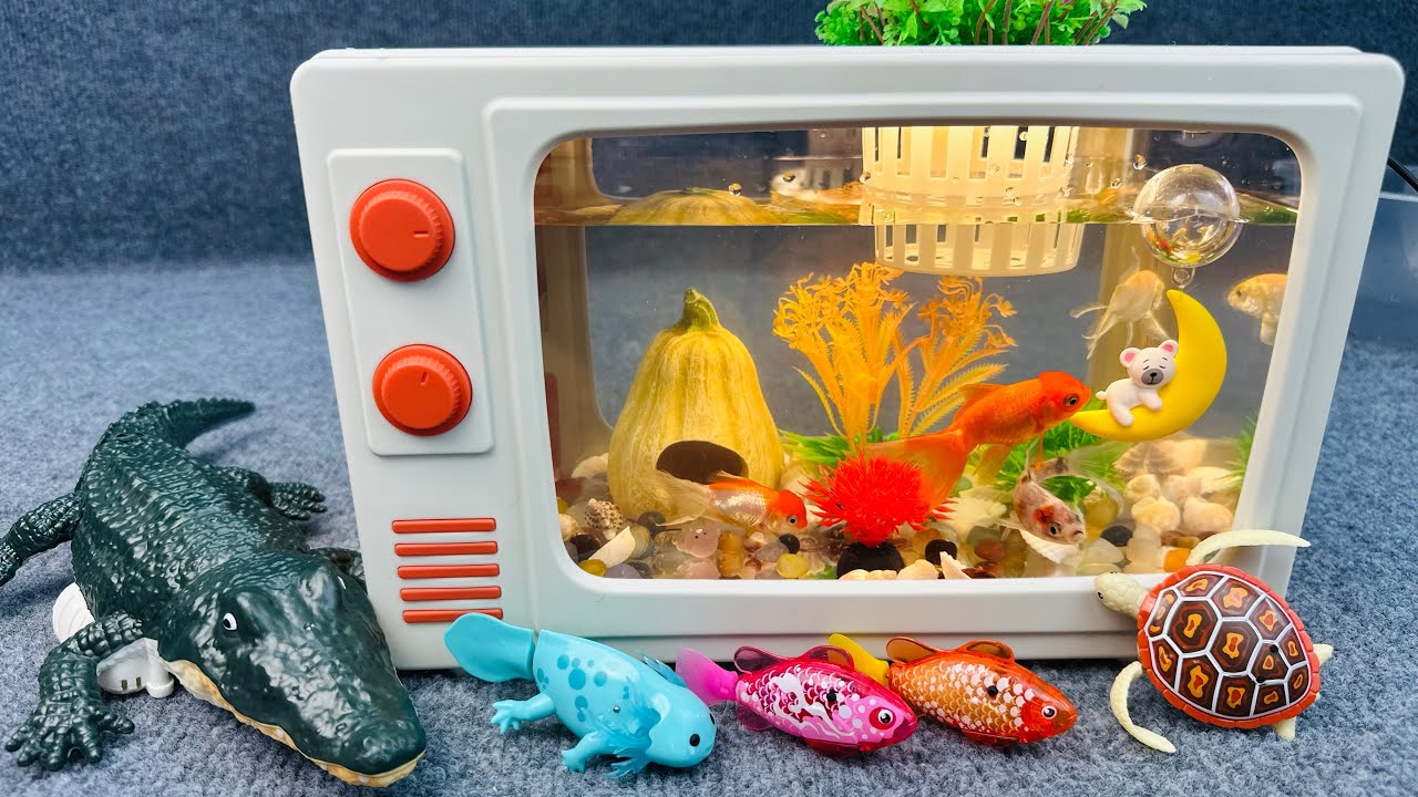 Unboxing Aquarium Robot Fish Remote Control Fish Ocean World Aquarium Live Fish Fishing Toy ASMR