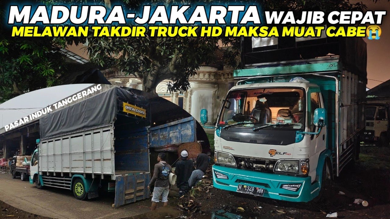 TRIP PERDANA FAUSI ARDANT MUAT CABE BAWA ELF HD‼️