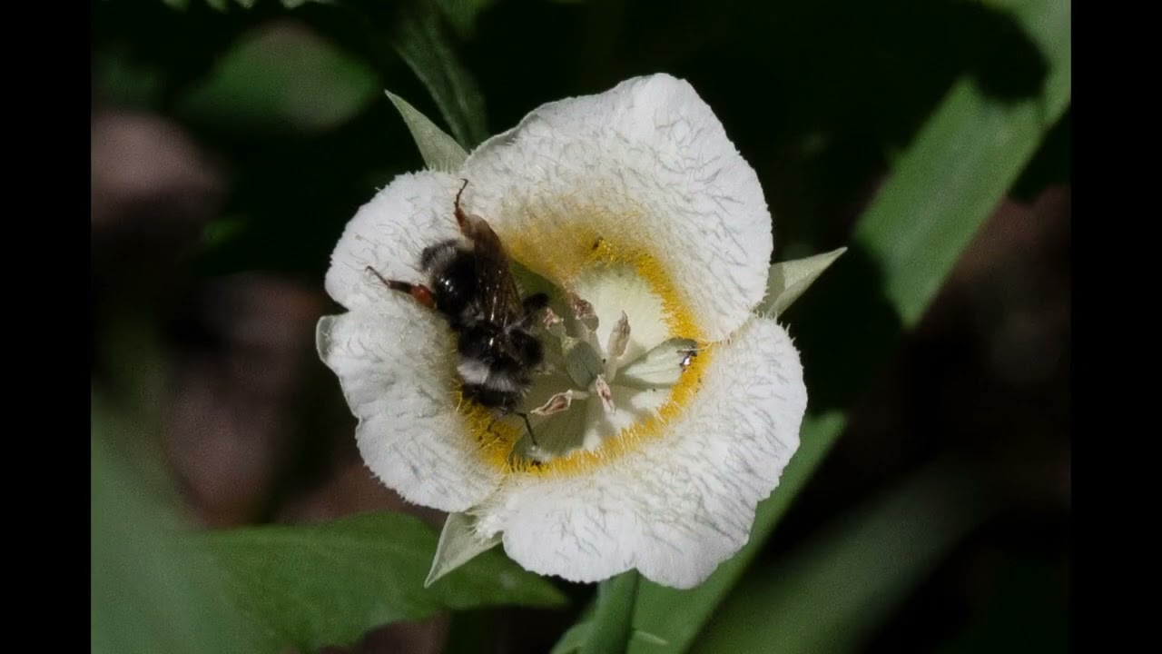 brumerphoto  best of 2025 youtube