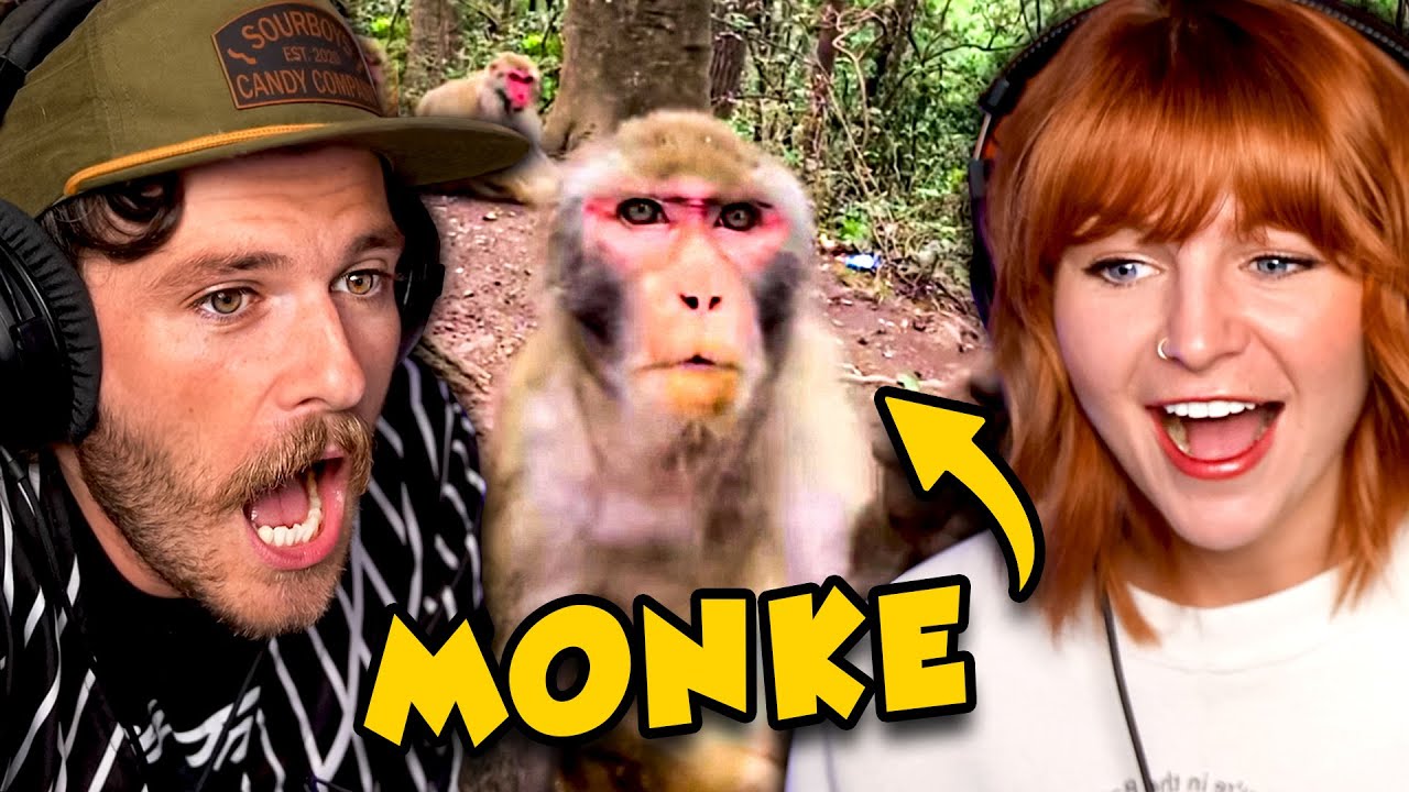 Mostly Peaceful Monkey Memes...