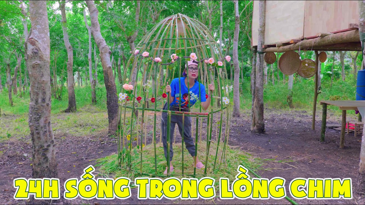 Thử Thách Làm Cái Lồng Chim Khổng Lồ