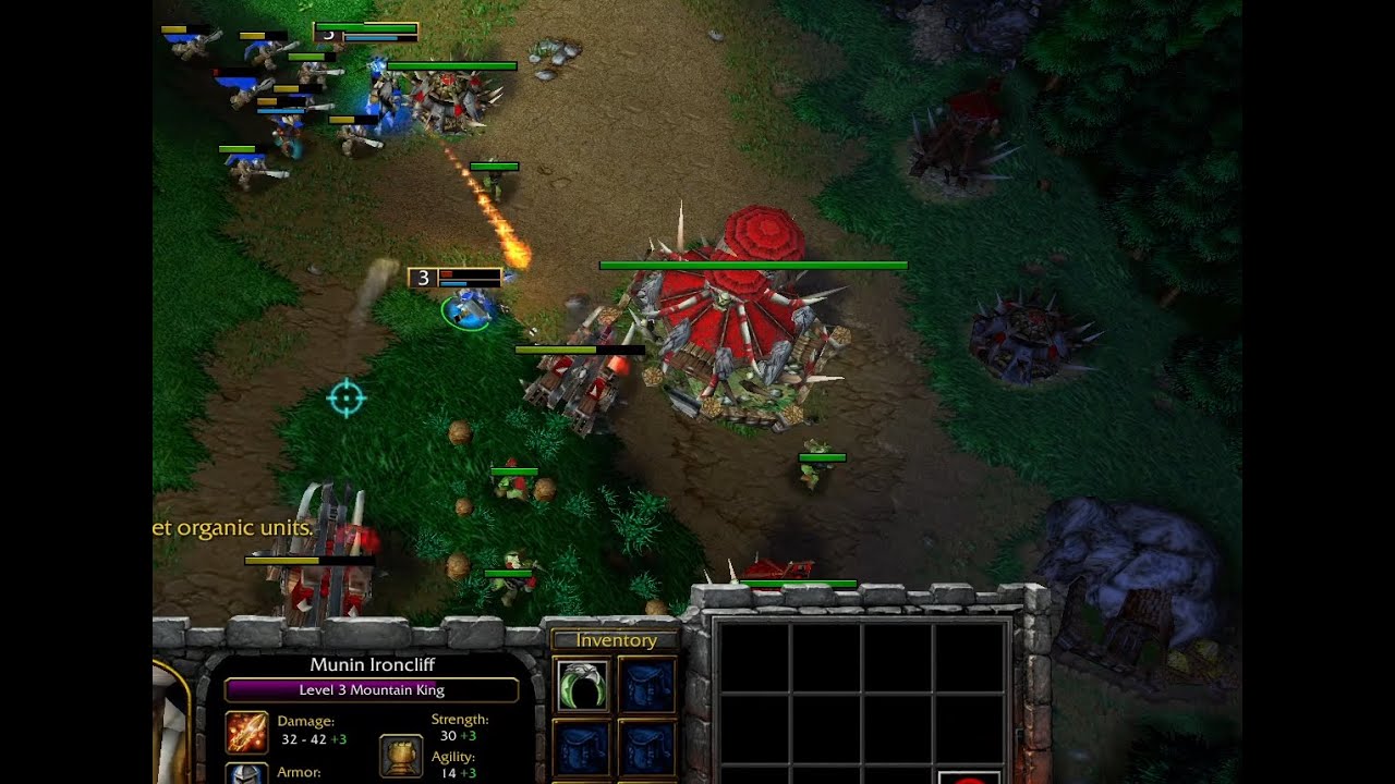 Human vs orc