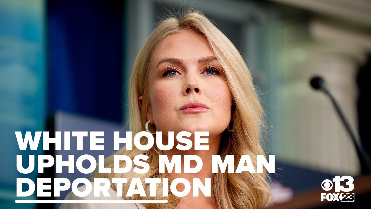 Mistakenly deported Maryland man was MS-13 gang leader, not 'father of the year,' Leavitt says