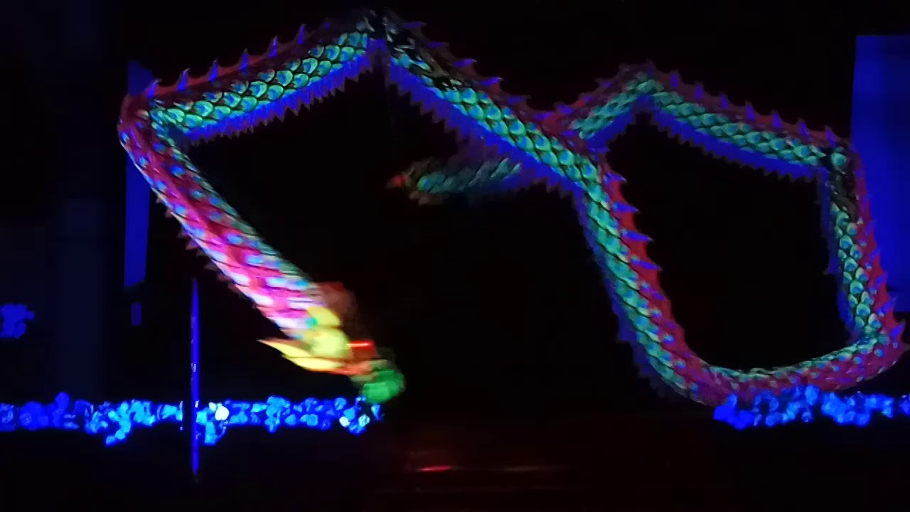 Liong dari Magelang