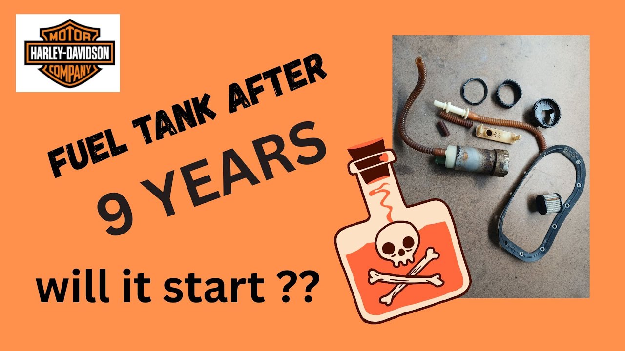 Harley Davidson Dyna EFI Fuel pump filters and components rebuild step by step